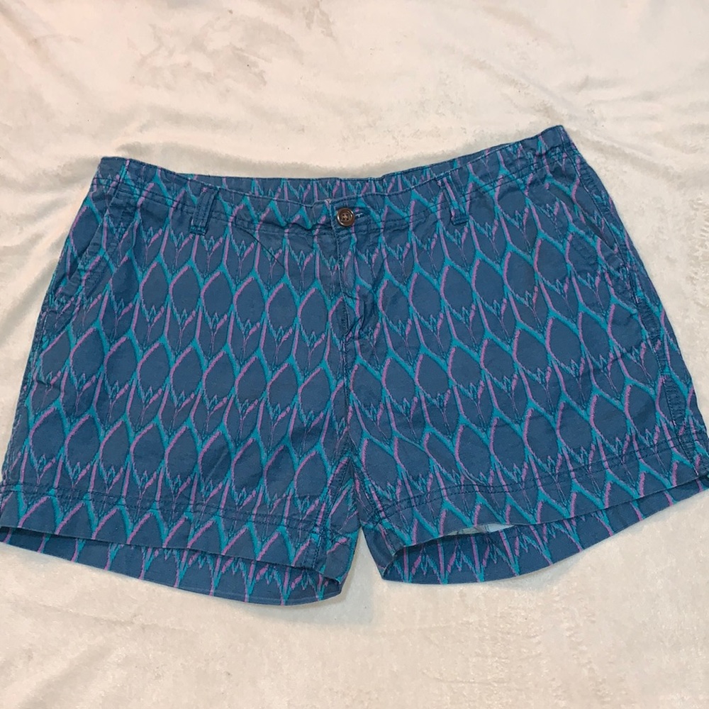 The North Face Shorts